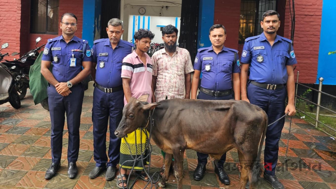 শ্রীনগরে পুলিশের বিশেষ অভিযানে চোরাইকৃত গরু সহ ২চোর গ্রেফতার